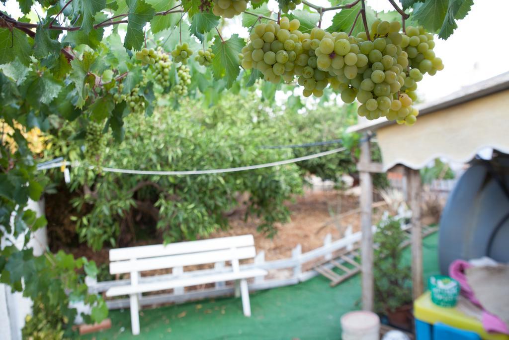 Locogrande Acqua Di Mare Bed & Breakfast エクステリア 写真